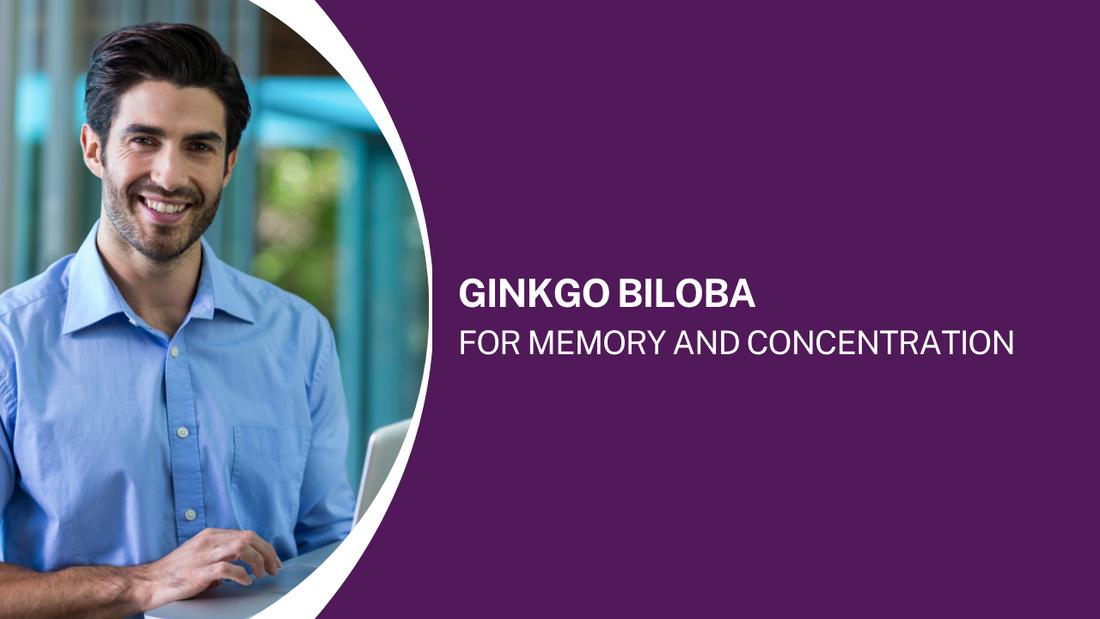 Ginkgo Biloba for Memory and Concentration