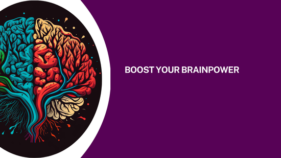 Boost Your Brainpower: A Natural Approach with Ginkgo Biloba, Shankhpushpi, and Brahmi