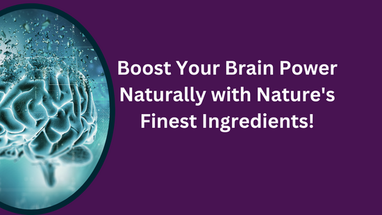 "Image showing natural ingredients like Brahmi, Shankhpushpi, Ginkgo Biloba, Piperine, DHA & EPA, and MCT Oil, each with their cognitive and health benefits, promoting mental clarity, memory, and focus.