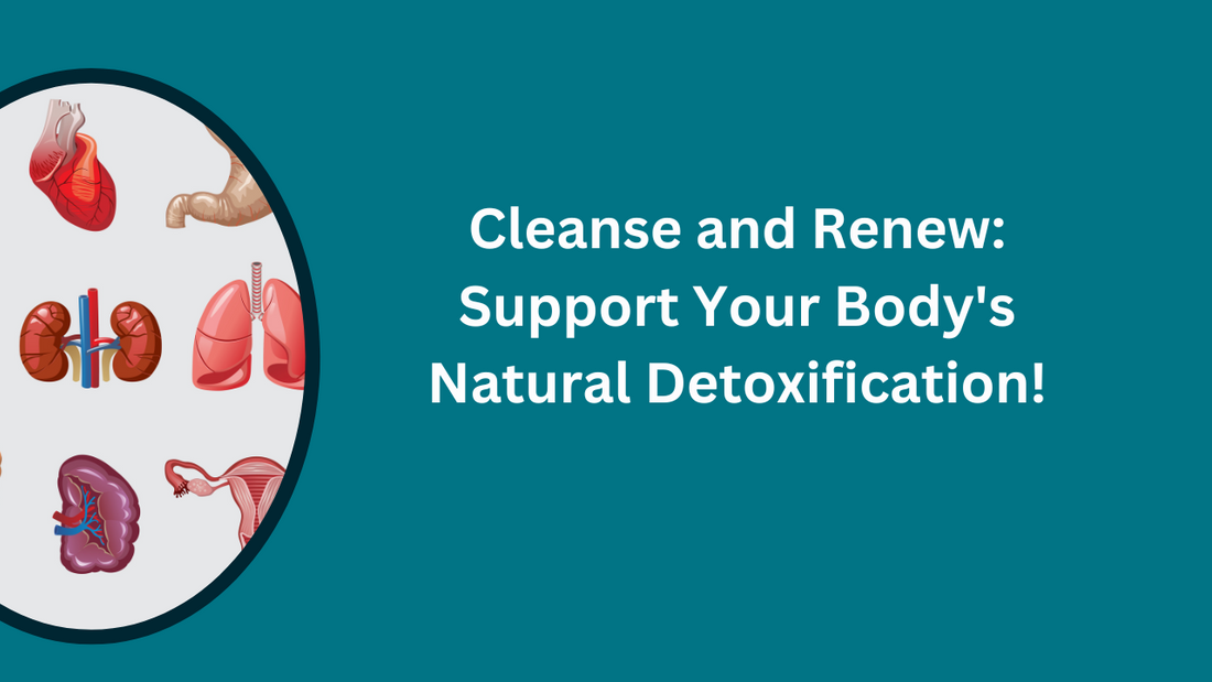 Detoxify for Vitality: Enhance Your Liver and Kidney Health!