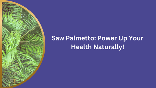 Saw Palmetto for Men: Nature’s Secret to Better Health