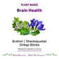 Bliss Welness Brain health tablet for Memory Focus Mood | Brahmi Shankpushpi Ginkgo Biloba & Piperine | Cognitive Development Alertness Anti Anxiety Supplement - 60 Veg Tablets