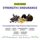 Bliss Welness JoshBliss Gold Stamina Energy Boost | Pure Shilajit Ashwagandha Kaunch Safed Musli Akharkhara Extract with BioPiperine | Improves Endurance Vitality | Men Health Supplement - 60 Vegetarian Tablets